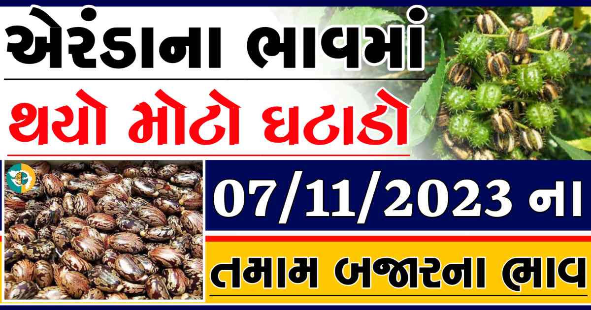 Today 07/11/2023 Eranda Apmc Rate આજના એરંડાના બજાર ભાવ gkmarugujarat.com
