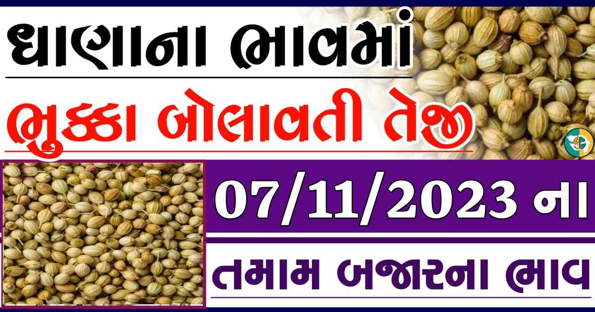 Today 07/11/2023 Coriander Apmc Rate આજના ધાણાના બજાર ભાવ gkmarugujarat.com