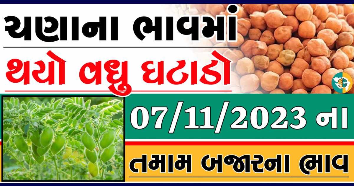 Today 07/11/2023 Chickpeas Apmc Rate આજના ચણાના બજાર ભાવ gkmarugujarat.com