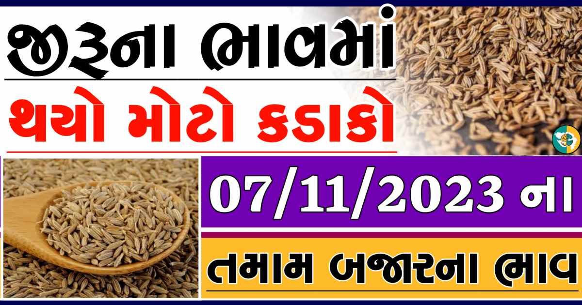 Today 07/11/2023 Jiru Apmc Rate આજના જીરુના બજાર ભાવ gkmarugujarat.com