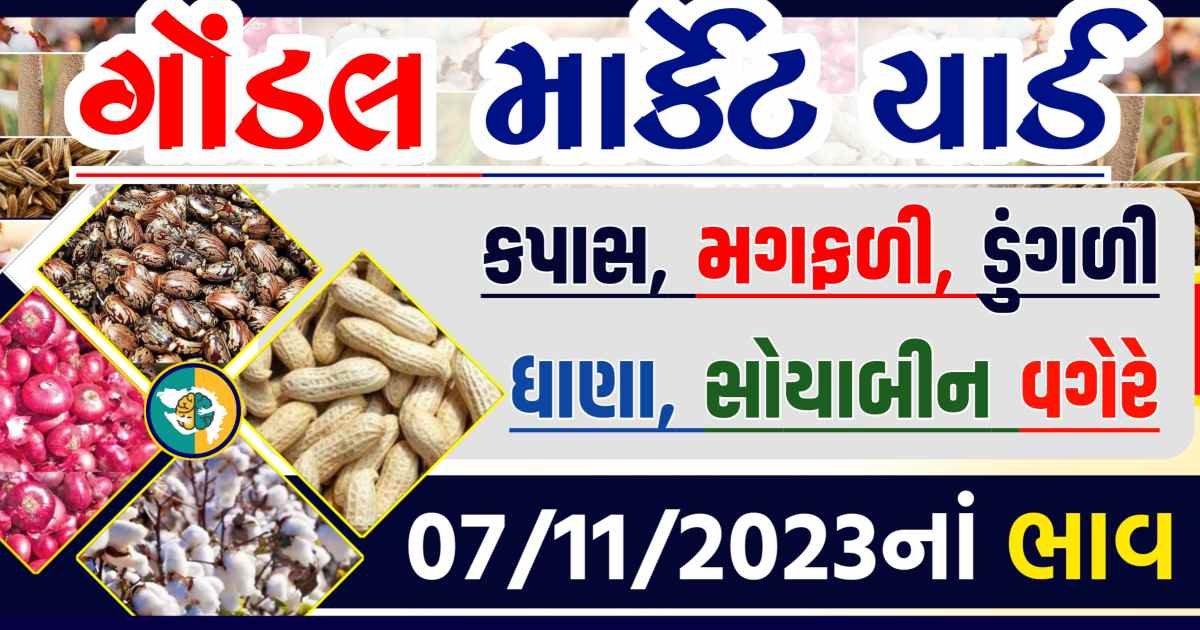 Today 07/11/2023 Gondal Apmc Rate આજના ગોંડલ માર્કેટ યાર્ડના બજાર ભાવ gkmarugujarat.com