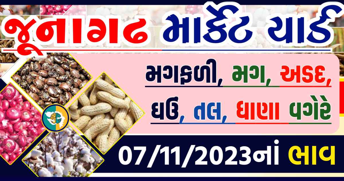 Today 07/11/2023 Junagadh Apmc Rate આજના જુનાગઢના બજાર ભાવ Gkmarugujarat.com