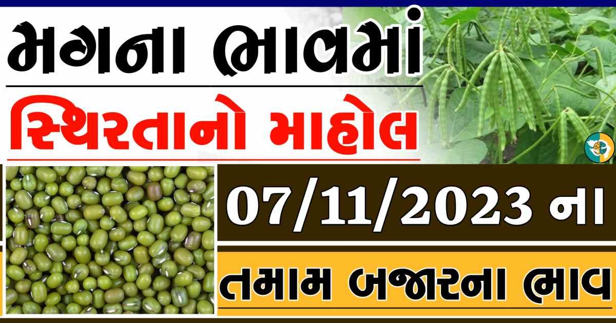 Today 07/11/2023 Mag Apmc Rate આજના મગના બજાર ભાવ gkmarugujarat.com