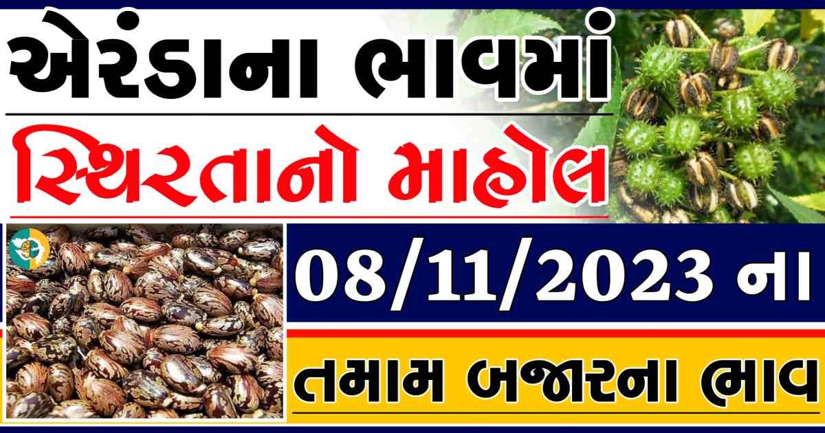 Today 08/11/2023 Eranda Apmc Rate આજના એરંડાના બજાર ભાવ gkmarugujarat.com