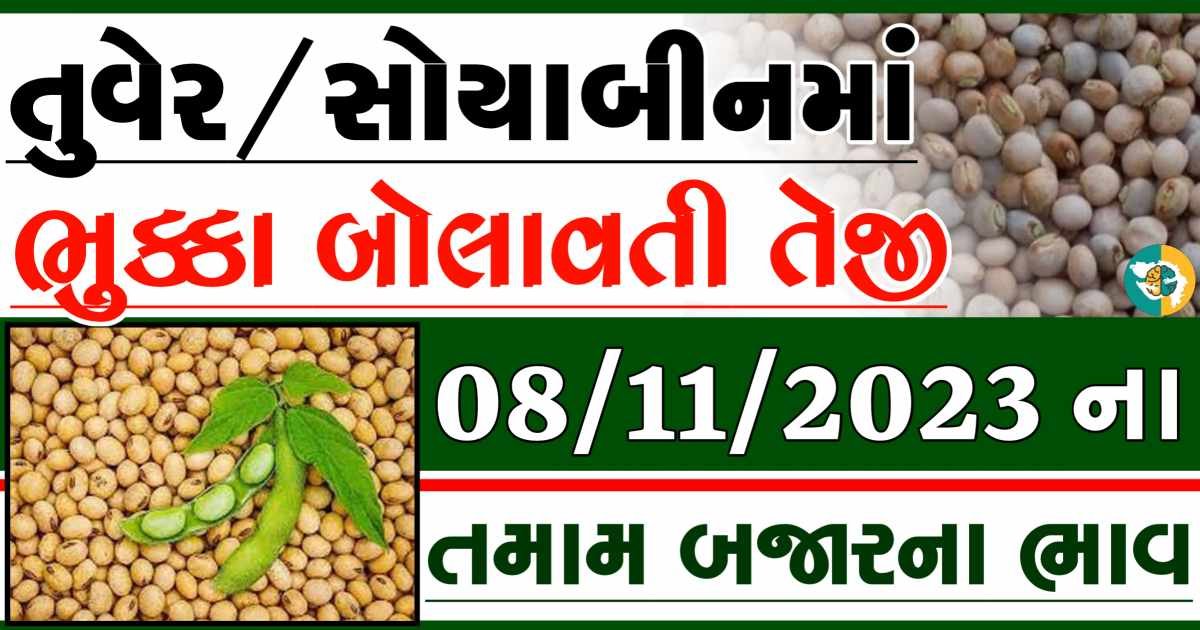 08/11/2023 Turmeric Soybeans Apmc Rate આજના તુવેર અને સોયાબીનના બજાર ભાવ gkmarugujarat.com