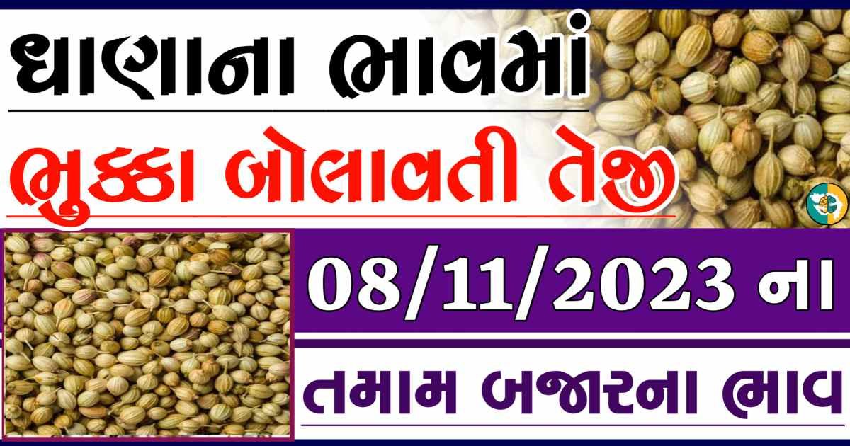 Today 08/11/2023 Coriander Apmc Rate આજના ધાણાના બજાર ભાવ gkmarugujarat.com