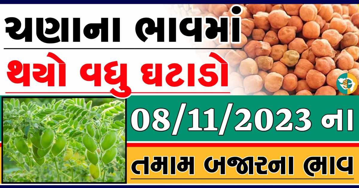 Today 08/11/2023 Chickpeas Apmc Rate આજના ચણાના બજાર ભાવ gkmarugujarat.com