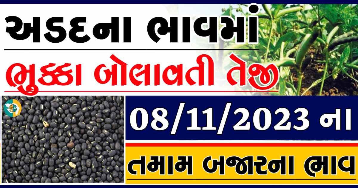 Today 08/11/2023 Arad Apmc Rate આજના અડદના બજાર ભાવ gkmarugujarat.com