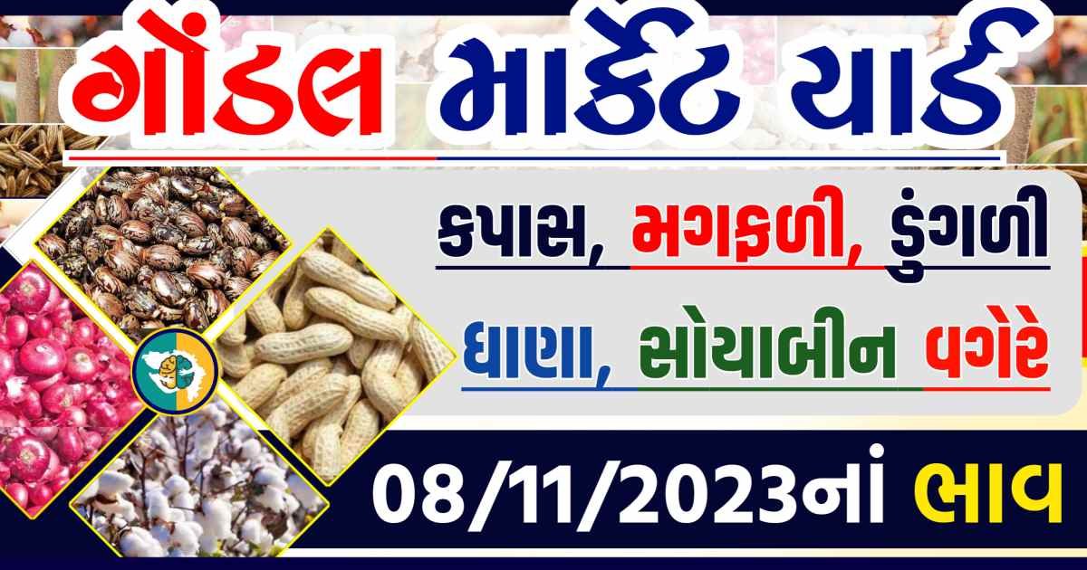 Today 08/11/2023 Gondal Apmc Rate આજના ગોંડલ માર્કેટ યાર્ડના બજાર ભાવ gkmarugujarat.com