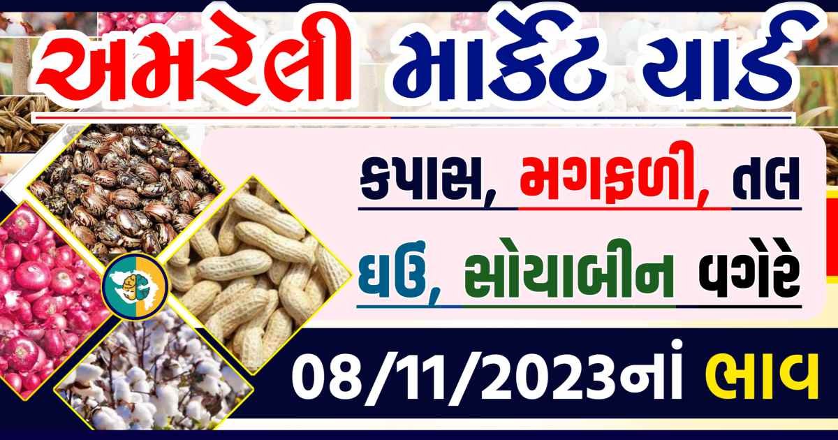 Today 08/11/2023 Amreli Apmc Rate આજના અમરેલીના બજાર ભાવ Gkmarugujarat.com