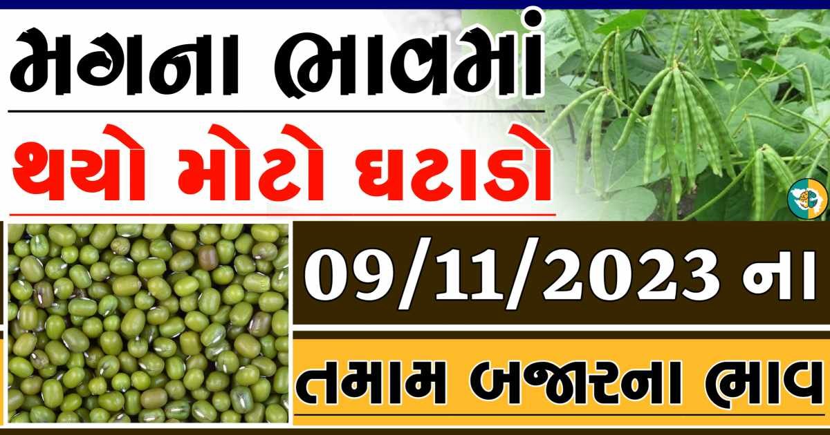 Today 09/11/2023 Mag Apmc Rate આજના મગના બજાર ભાવ gkmarugujarat.com