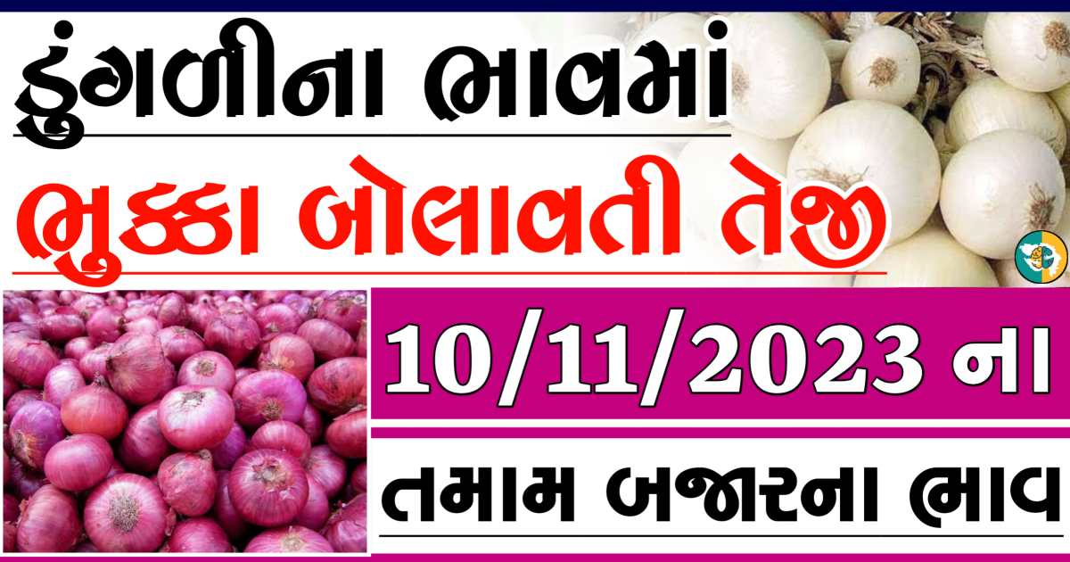 Today 10/11/2023 Onion Apmc Rate આજના લાલ અને સફેદ ડુંગળીના બજાર ભાવ Gkmarugujarat.com