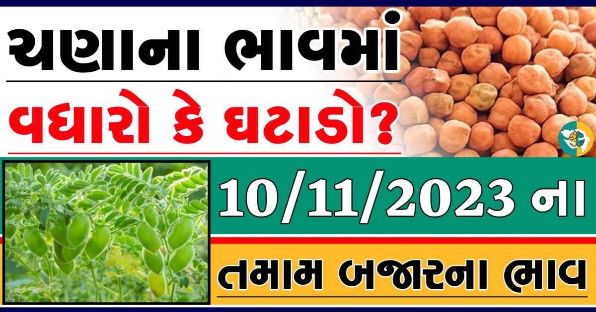 Today 10/11/2023 Chickpeas Apmc Rate આજના ચણાના બજાર ભાવ gkmarugujarat.com