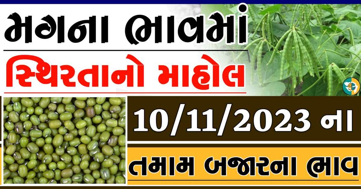 Today 10/11/2023 Mag Apmc Rate આજના મગના બજાર ભાવ gkmarugujarat.com