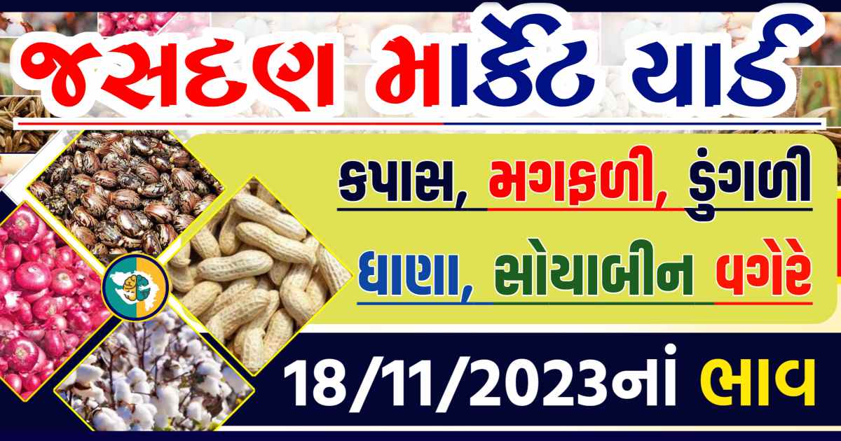 Today 18/11/2023 Jasdan Apmc Rate આજના જસદણના બજાર ભાવ Gkmarugujarat.com