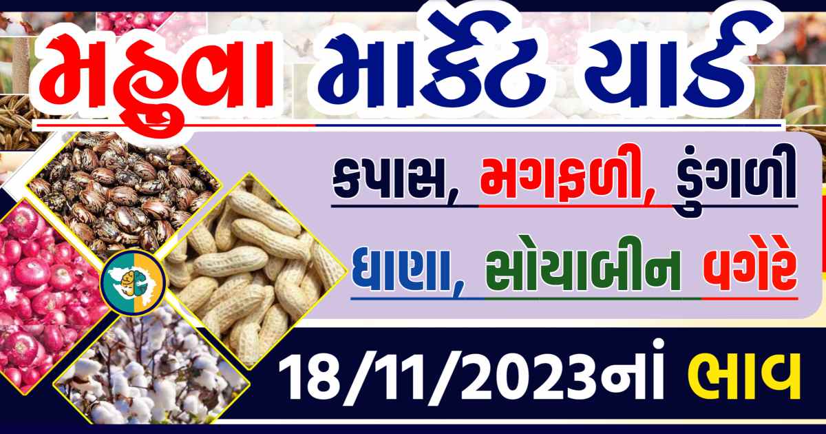 Today 18/11/2023 Mahuva Apmc Rate આજના મહુવાના બજાર ભાવ Gkmarugujarat.com