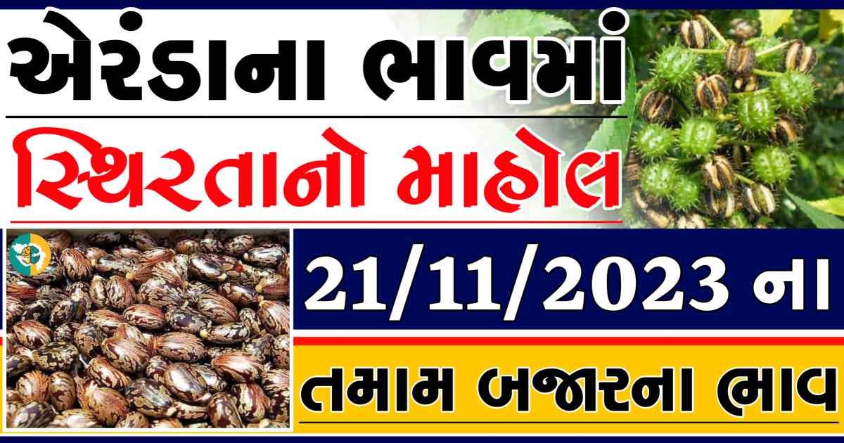 Today 21/11/2023 Eranda Apmc Rate આજના એરંડાના બજાર ભાવ gkmarugujarat.com