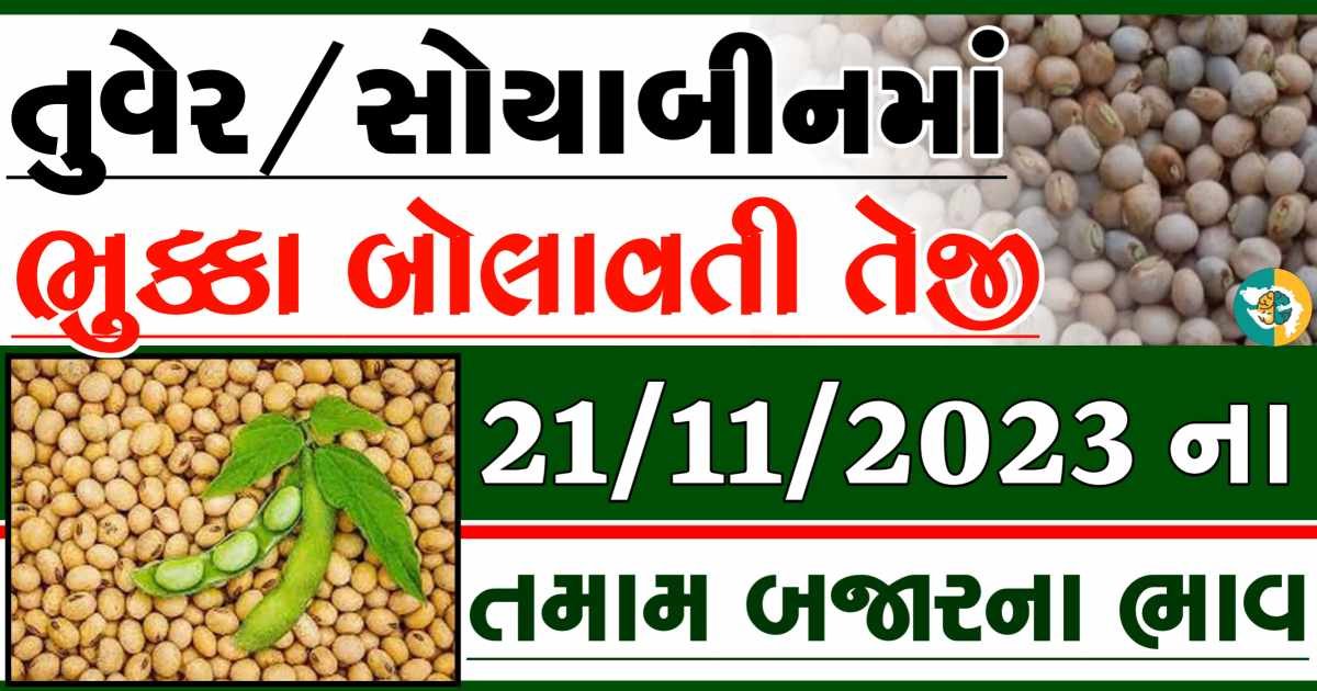 21/11/2023 Turmeric Soybeans Apmc Rate આજના તુવેર અને સોયાબીનના બજાર ભાવ gkmarugujarat.com