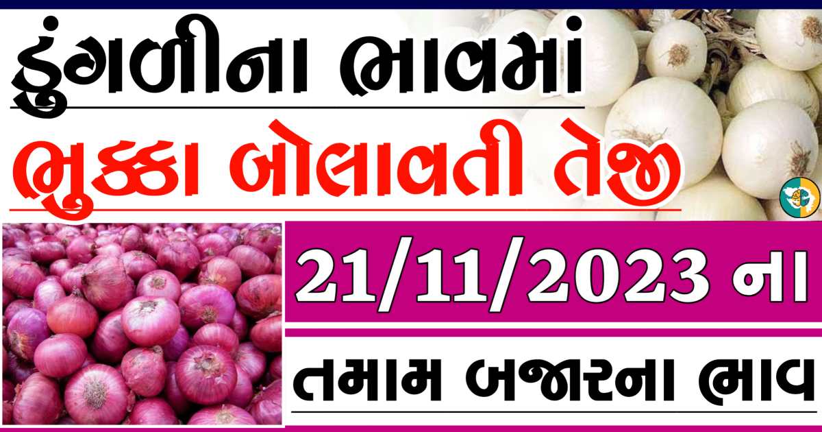Today 21/11/2023 Onion Apmc Rate આજના લાલ અને સફેદ ડુંગળીના બજાર ભાવ Gkmarugujarat.com