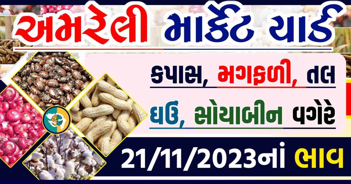 Today 21/11/2023 Amreli Apmc Rate આજના અમરેલીના બજાર ભાવ Gkmarugujarat.com