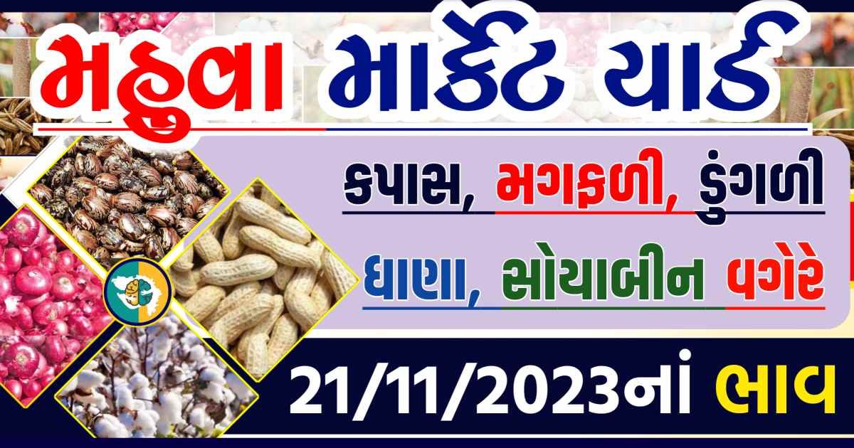 Today 21/11/2023 Mahuva Apmc Rate આજના મહુવાના બજાર ભાવ Gkmarugujarat.com