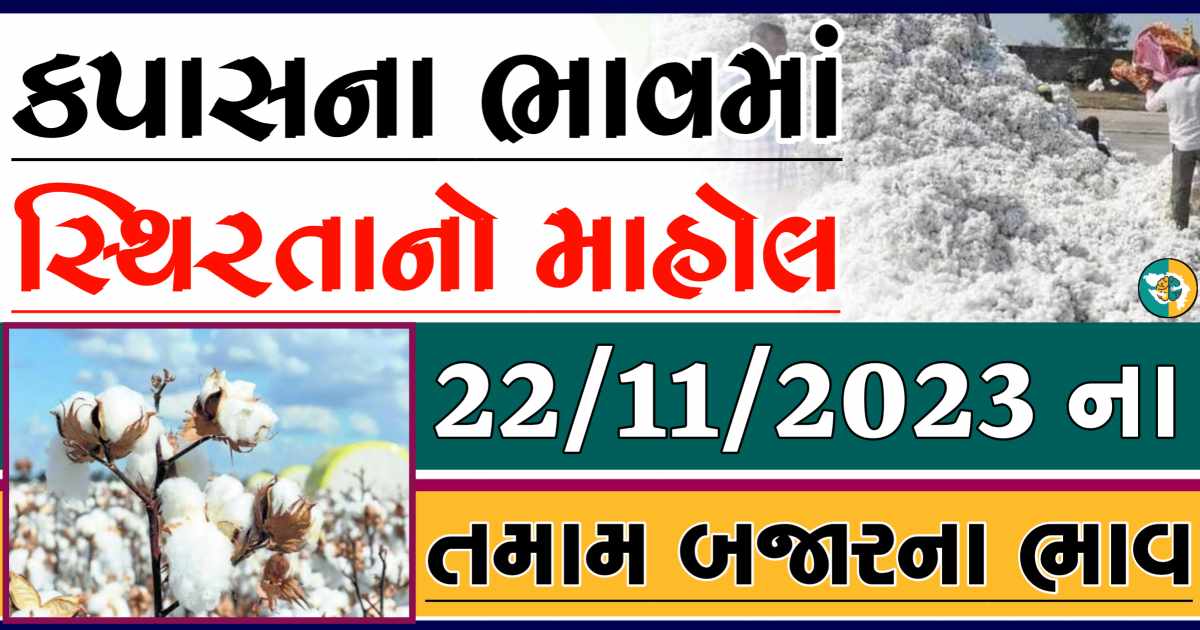 Today 22/11/2023 Cotton Apmc Rate gkmarugujarat.com