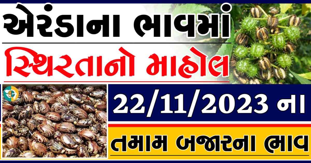 Today 22/11/2023 Eranda Apmc Rate આજના એરંડાના બજાર ભાવ gkmarugujarat.com