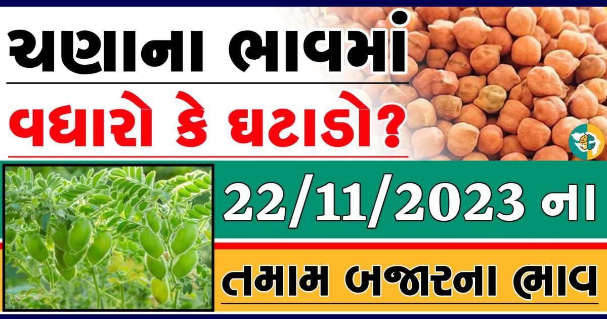 Today 22/11/2023 Chickpeas Apmc Rate આજના ચણાના બજાર ભાવ gkmarugujarat.com