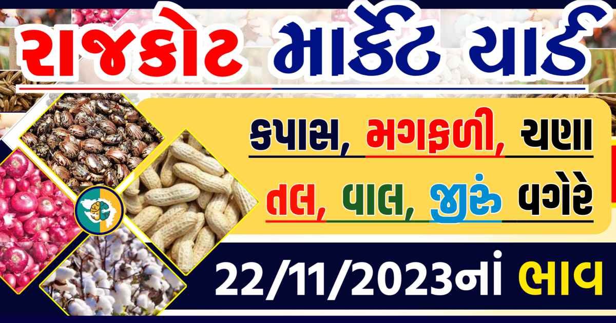 Today 22/11/2023 Rajkot Apmc Rate આજના રાજકોટના બજાર ભાવ Gkmarugujarat.com