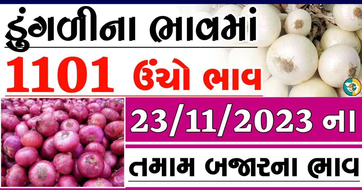 Today 23/11/2023 Onion Apmc Rate આજના લાલ અને સફેદ ડુંગળીના બજાર ભાવ Gkmarugujarat.com