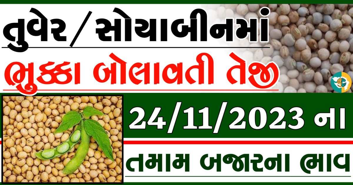 24/11/2023 Turmeric Soybeans Apmc Rate આજના તુવેર અને સોયાબીનના બજાર ભાવ gkmarugujarat.com