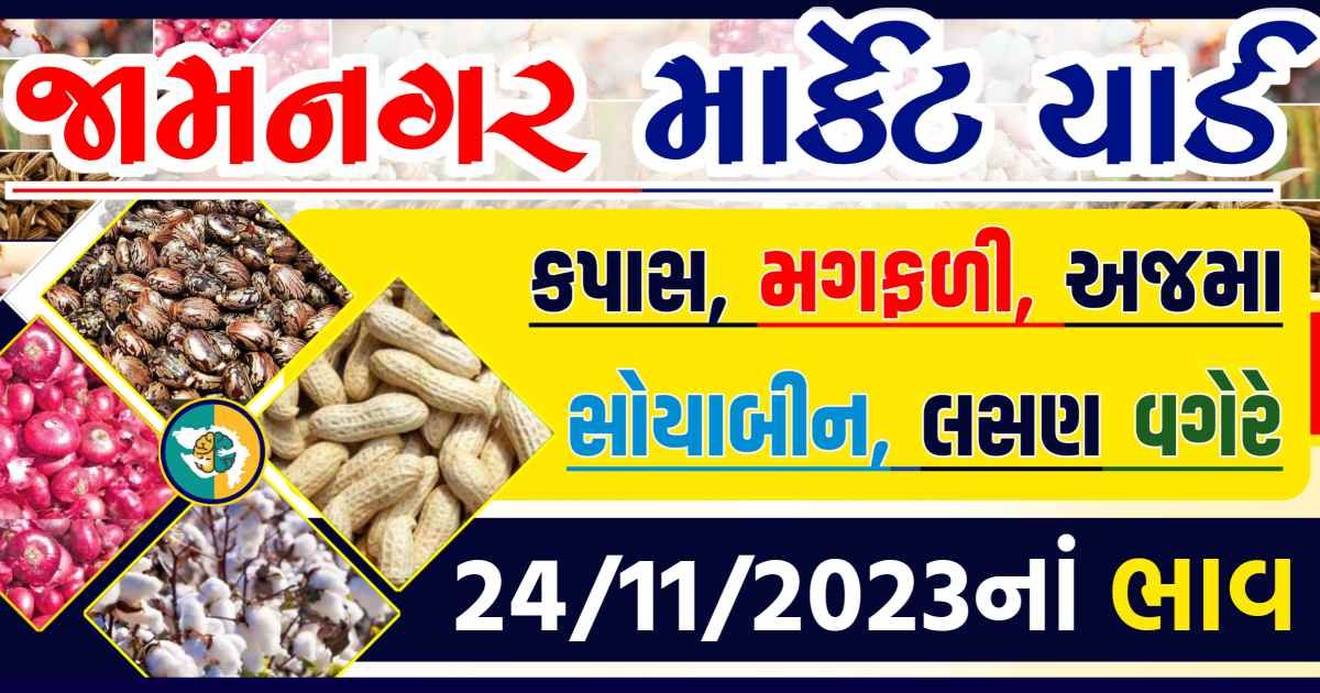Today 24/11/2023 Jamnagar Apmc Rate આજના જામનગરના બજાર ભાવ Gkmarugujarat.com