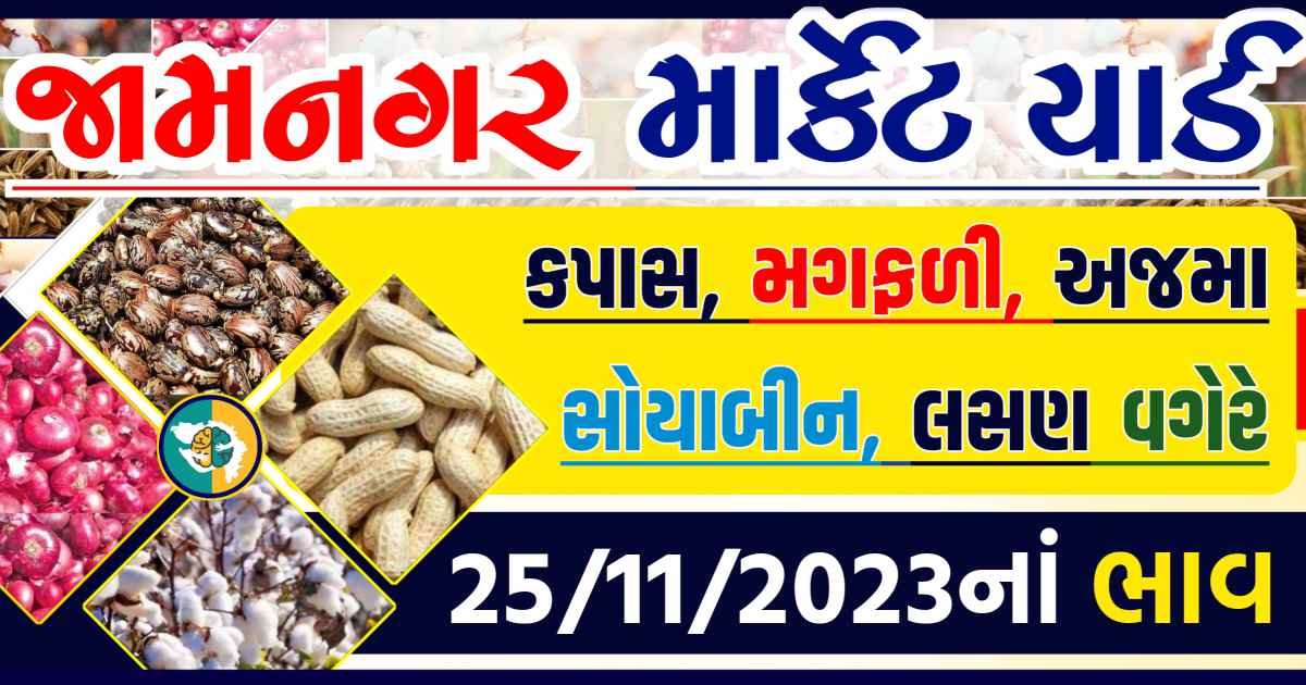 Today 25/11/2023 Jamnagar Apmc Rate આજના જામનગરના બજાર ભાવ Gkmarugujarat.com