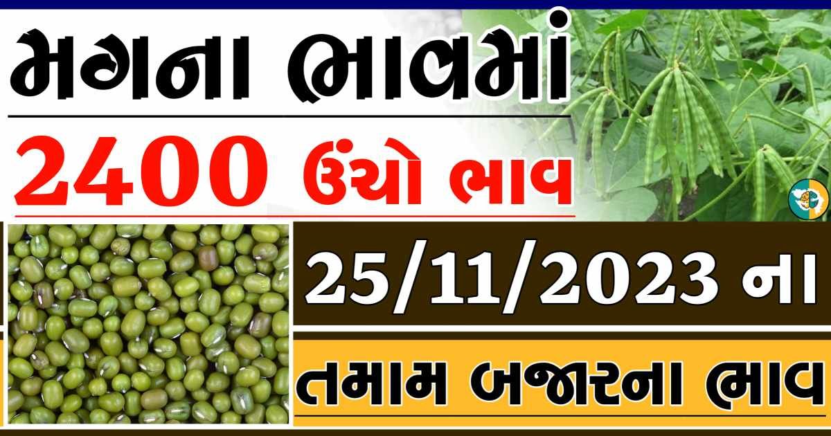 Today 25/11/2023 Mag Apmc Rate આજના મગના બજાર ભાવ gkmarugujarat.com