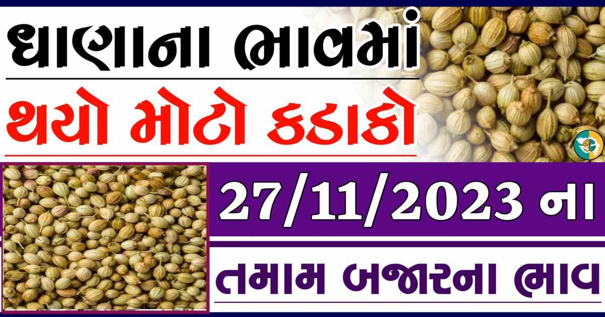 Today 27/11/2023 Coriander Apmc Rate આજના ધાણાના બજાર ભાવ gkmarugujarat.com