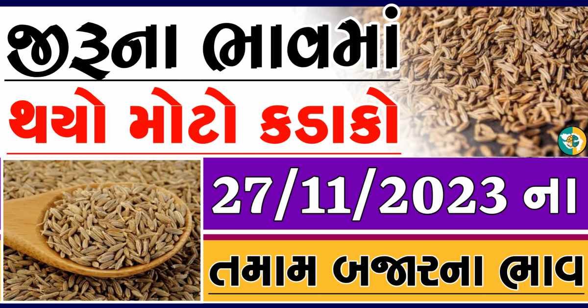 Today 27/11/2023 Jiru Apmc Rate આજના જીરુના બજાર ભાવ gkmarugujarat.com