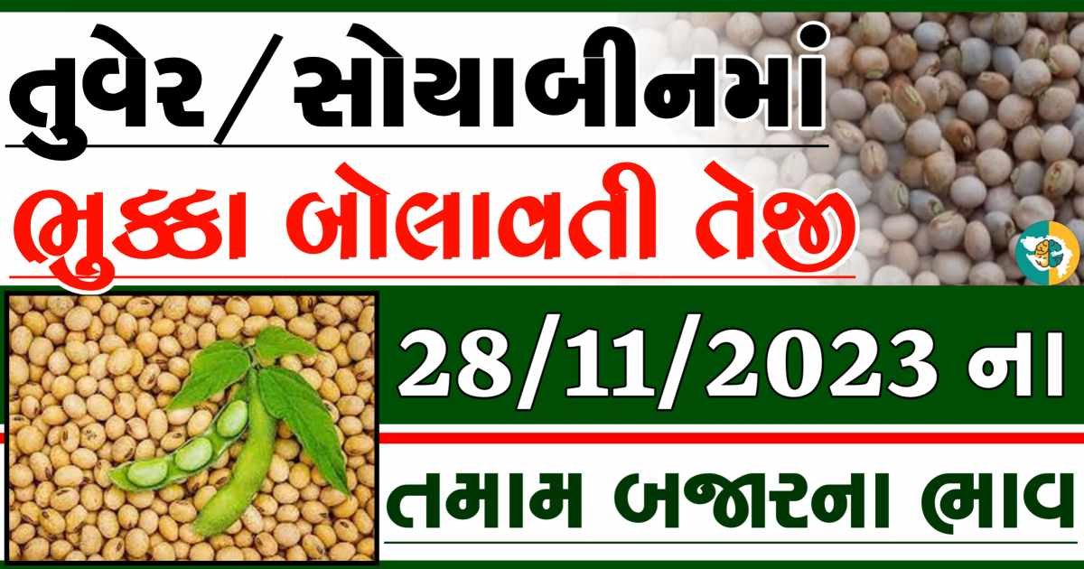 28/11/2023 Turmeric Soybeans Apmc Rate આજના તુવેર અને સોયાબીનના બજાર ભાવ gkmarugujarat.com