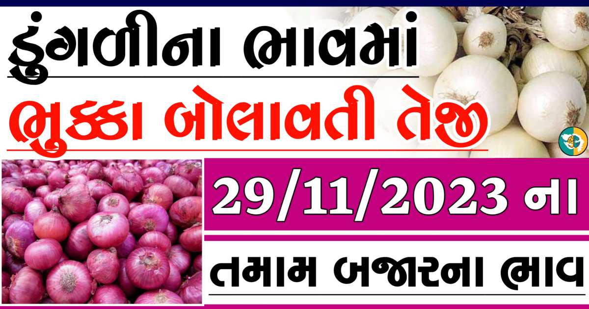 Today 29/11/2023 Onion Apmc Rate આજના લાલ અને સફેદ ડુંગળીના બજાર ભાવ Gkmarugujarat.com