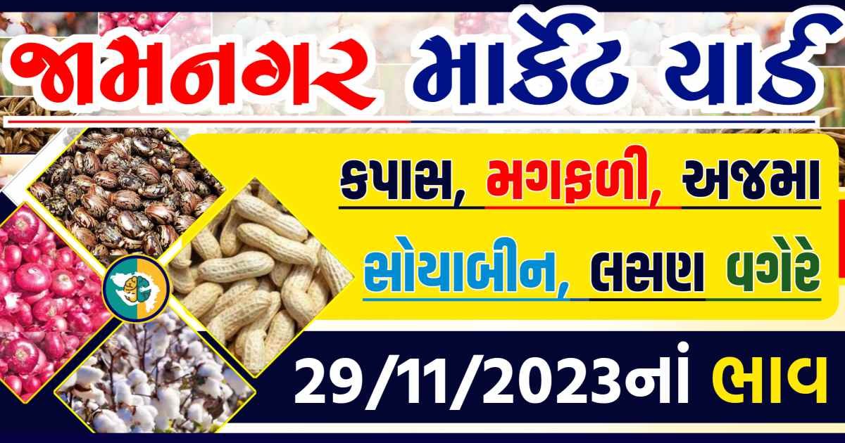 Today 29/11/2023 Jamnagar Apmc Rate આજના જામનગરના બજાર ભાવ Gkmarugujarat.com