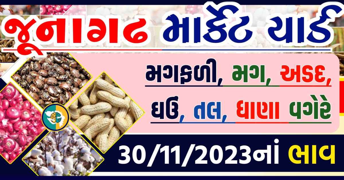 Today 30/11/2023 Junagadh Apmc Rate આજના જુનાગઢના બજાર ભાવ Gkmarugujarat.com