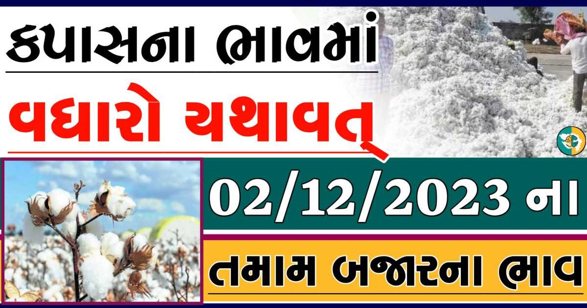 Today 02/12/2023 Cotton Apmc Rate gkmarugujarat.com