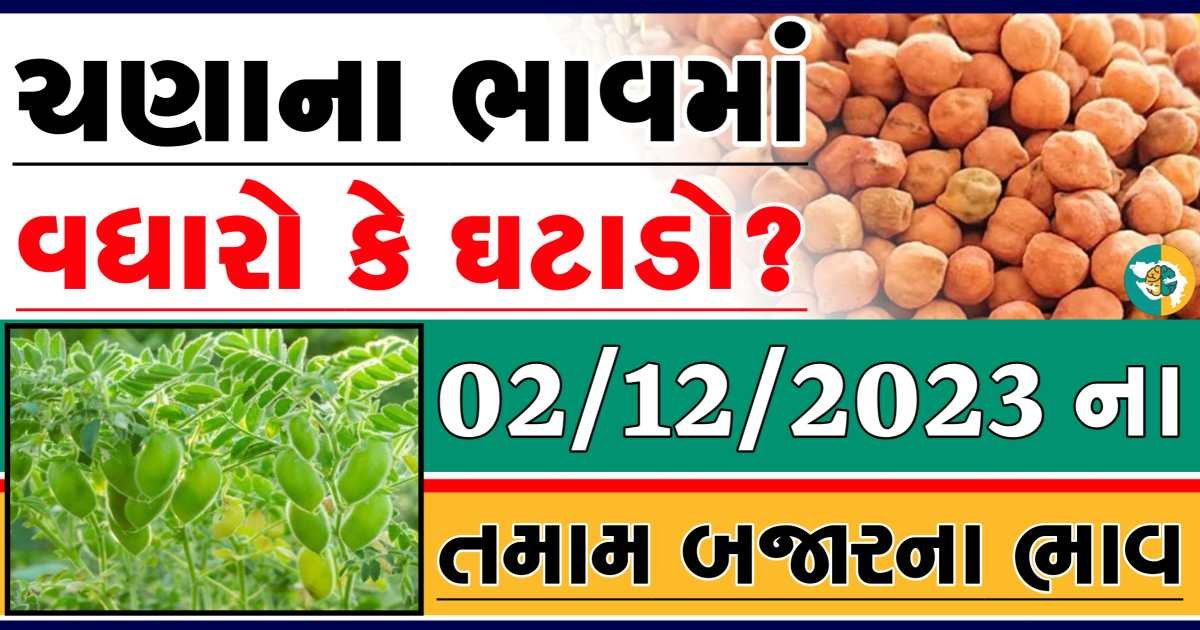 Today 02/12/2023 Chickpeas Apmc Rate આજના ચણાના બજાર ભાવ gkmarugujarat.com