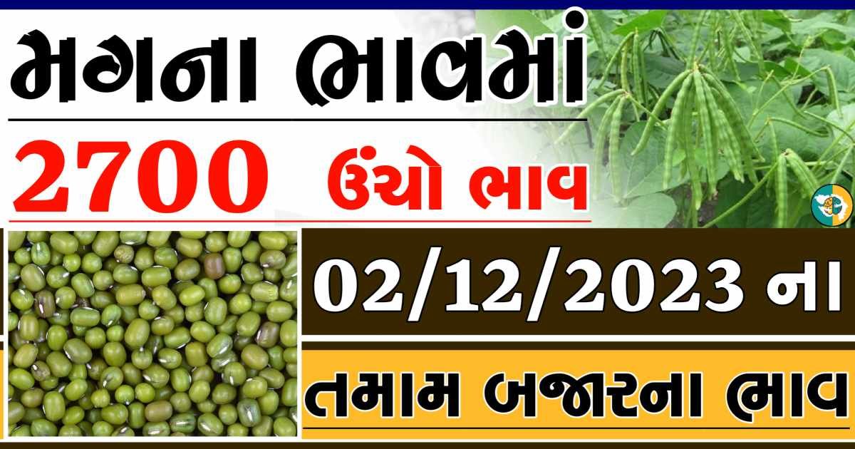 Today 02/12/2023 Mag Apmc Rate આજના મગના બજાર ભાવ gkmarugujarat.com