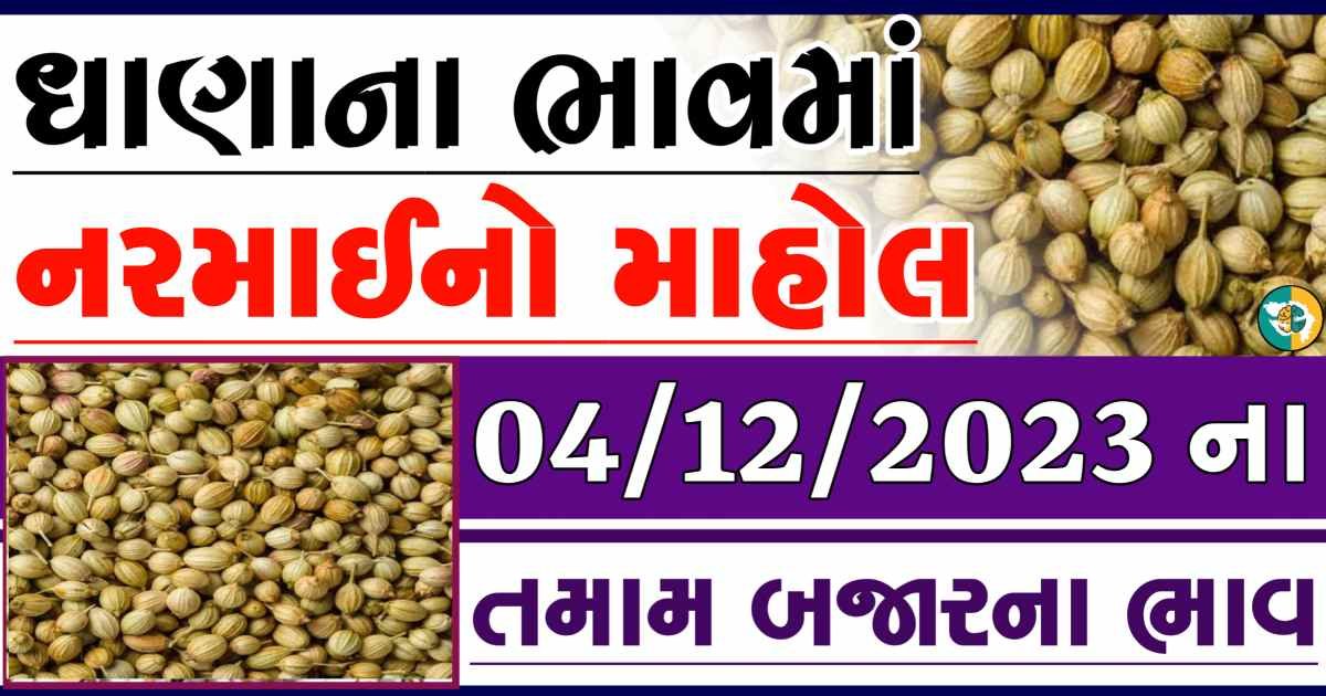 Today 04/12/2023 Coriander Apmc Rate આજના ધાણાના બજાર ભાવ gkmarugujarat.com