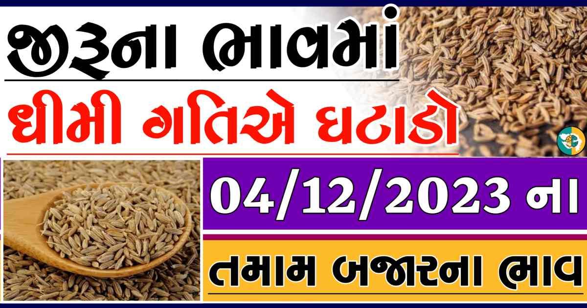 Today 04/12/2023 Jiru Apmc Rate આજના જીરુના બજાર ભાવ gkmarugujarat.com