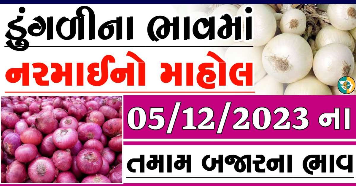 Today 05/12/2023 Onion Apmc Rate આજના લાલ અને સફેદ ડુંગળીના બજાર ભાવ Gkmarugujarat.com