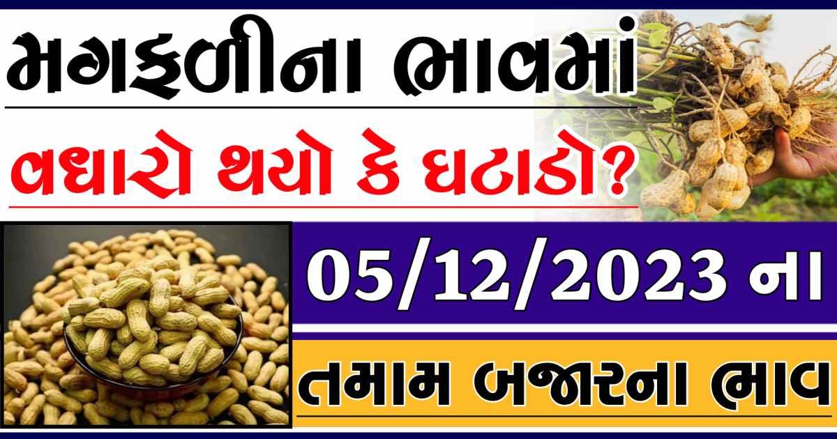 Today 05/12/2023 Peanuts Apmc Rate આજના જાડી અને જીણી મગફળીના બજાર ભાવ