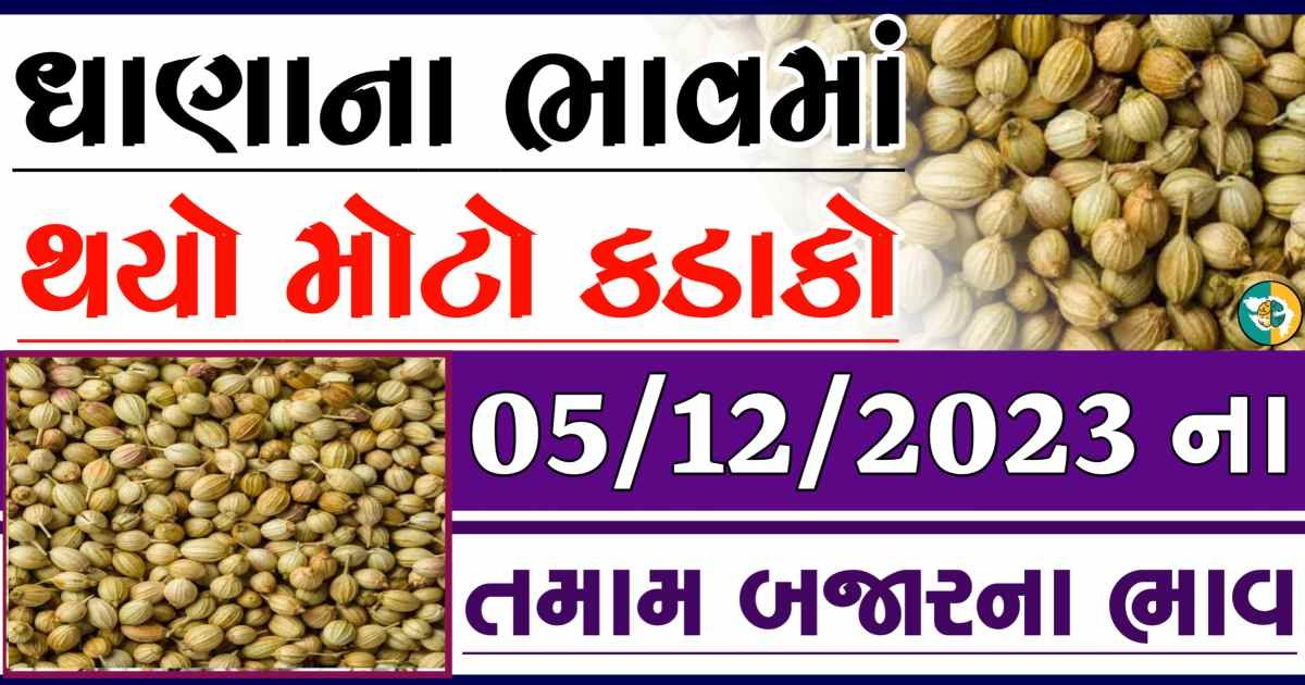 Today 05/12/2023 Coriander Apmc Rate આજના ધાણાના બજાર ભાવ gkmarugujarat.com