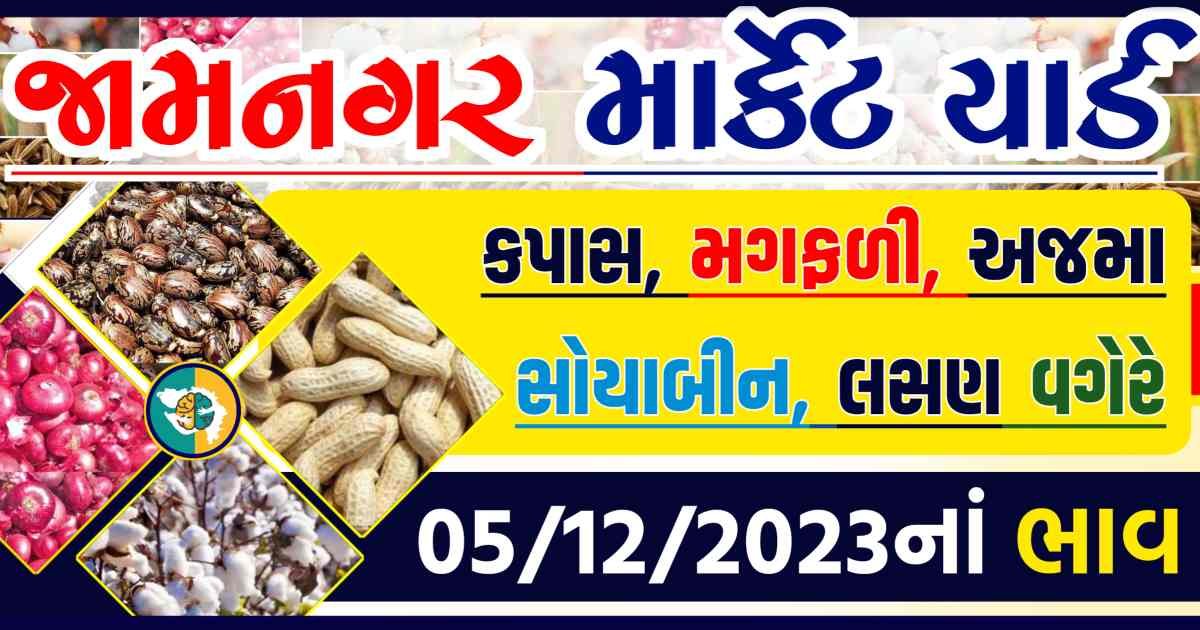 Today 05/12/2023 Jamnagar Apmc Rate આજના જામનગરના બજાર ભાવ Gkmarugujarat.com