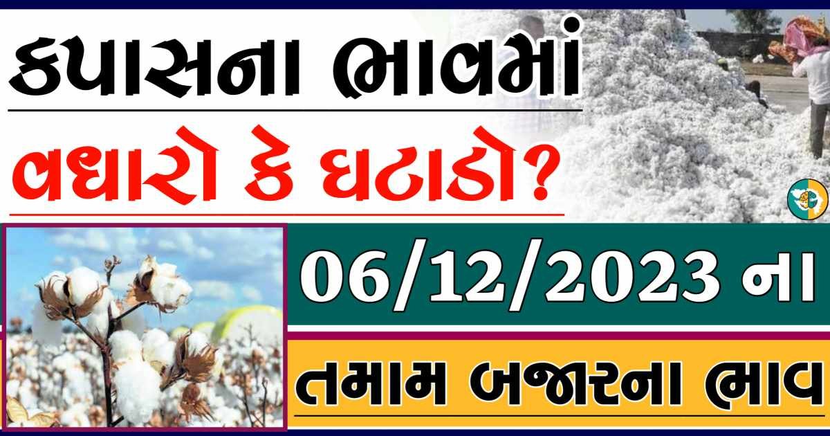 Today 06/12/2023 Cotton Apmc Rate gkmarugujarat.com